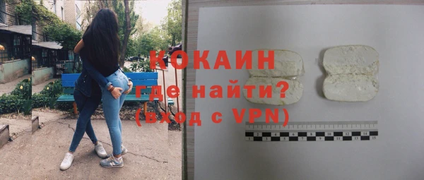 ГАЛЛЮЦИНОГЕННЫЕ ГРИБЫ Богданович