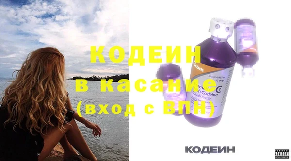 ГАЛЛЮЦИНОГЕННЫЕ ГРИБЫ Богданович