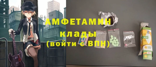 ГАЛЛЮЦИНОГЕННЫЕ ГРИБЫ Богданович