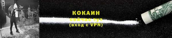 ГАЛЛЮЦИНОГЕННЫЕ ГРИБЫ Богданович