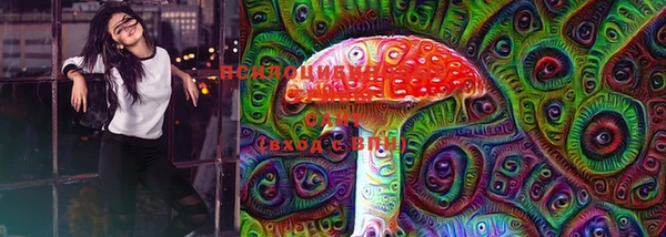 ГАЛЛЮЦИНОГЕННЫЕ ГРИБЫ Богданович