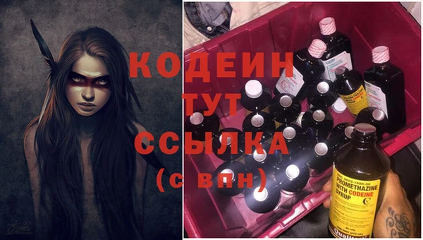 ГАЛЛЮЦИНОГЕННЫЕ ГРИБЫ Богданович