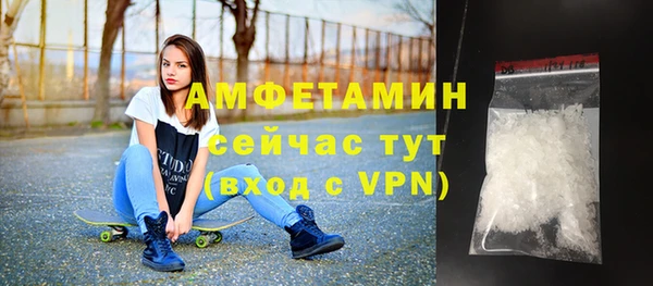 ГАЛЛЮЦИНОГЕННЫЕ ГРИБЫ Богданович