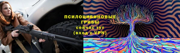ГАЛЛЮЦИНОГЕННЫЕ ГРИБЫ Богданович