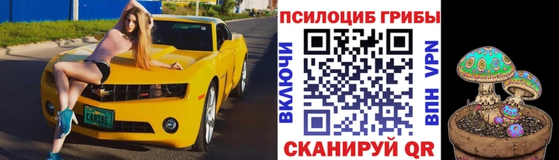 Галлюциногенные грибы прущие грибы  Михайлов 
