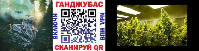 Бошки марихуана индика  Михайлов 